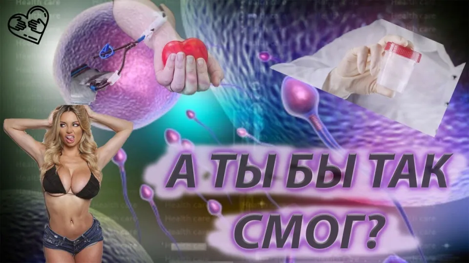 Какие бывают интересные факты о миссионерах добрых дел и их помощи людям